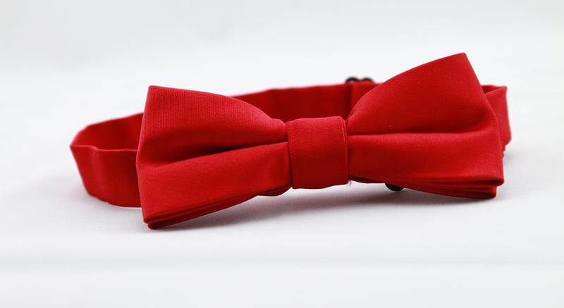 Royal Suit Bow Tie
